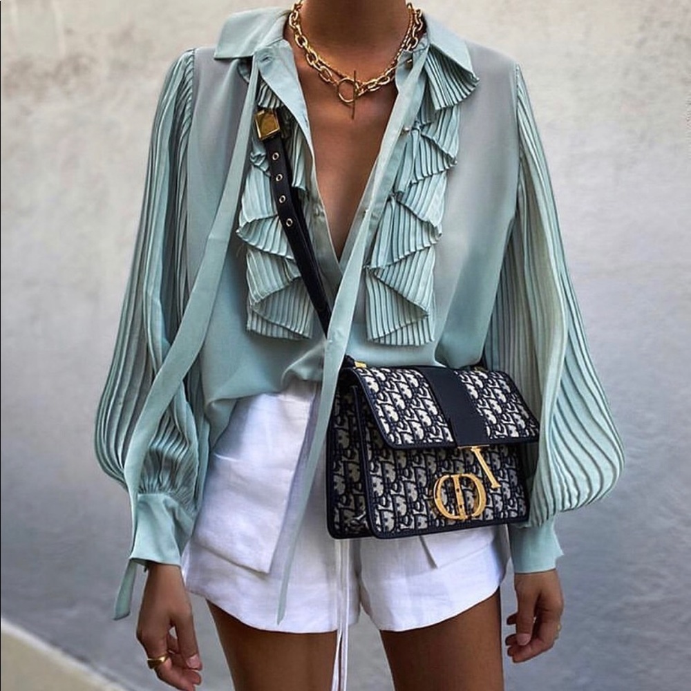 NWT Bloggers Favorite Zara Pleated Ruffled Blouse